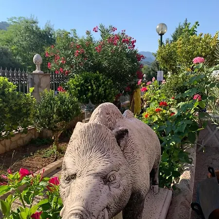 Ξενοδοχείο Mirasierra 2*